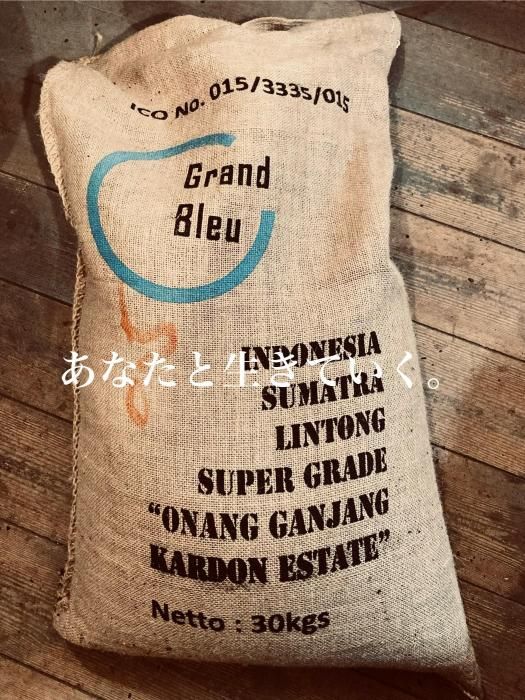  11/1꡼  INDONESIA ޥȥ ʥ󥬥󥸥ϰ ɥ '25եȡʿˡ