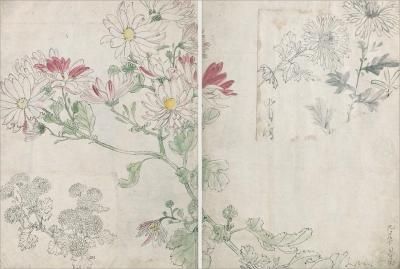 柴田是真 小刻み 下絵・写生集