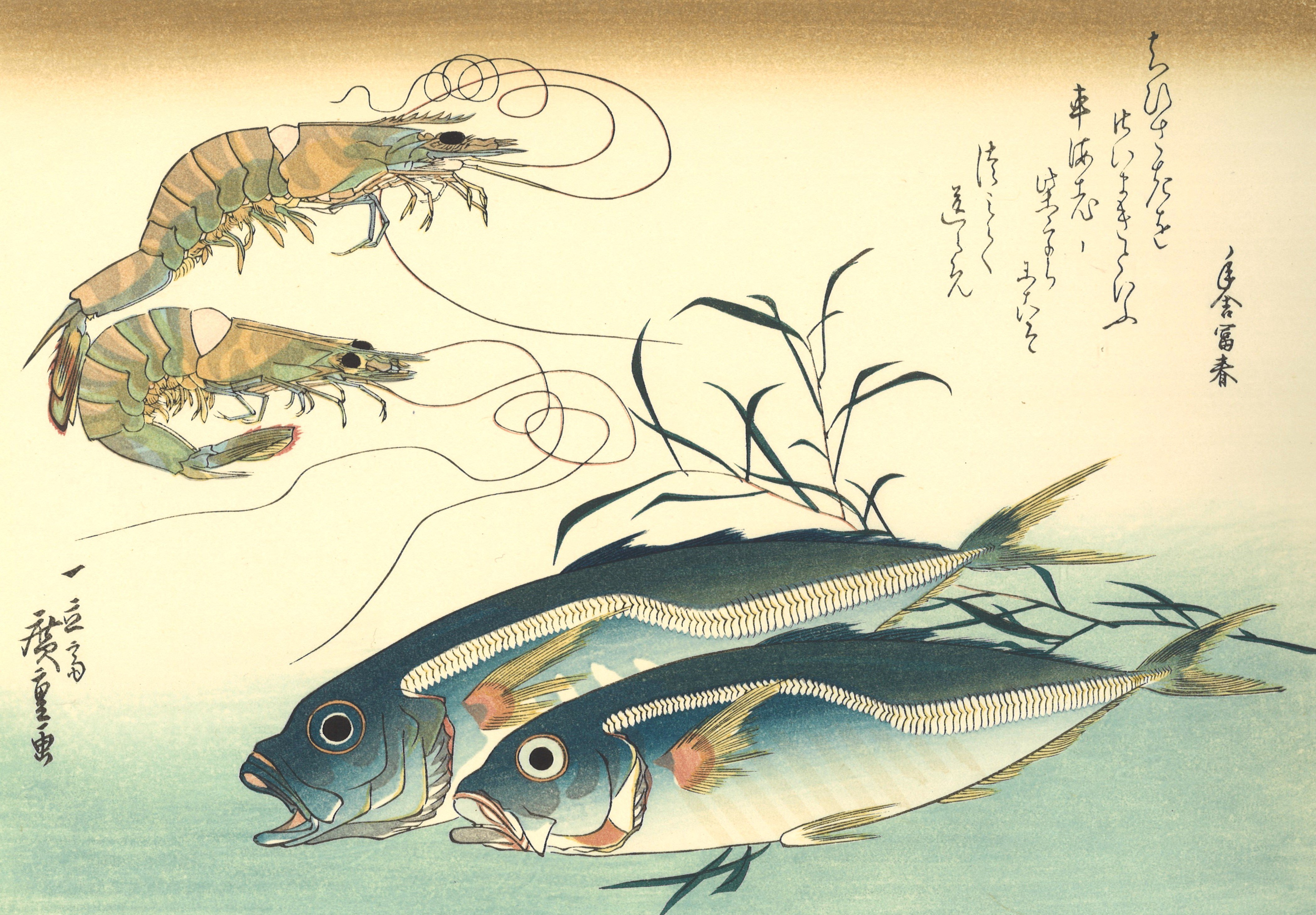 日本画 坂田虎一 光風会 魚の絵 肉筆 木板画 額縁にガラス無し 昭和 
