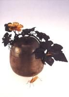 商品検索 - Kiyomizu Sannenzaka Museum ONLINE SHOP