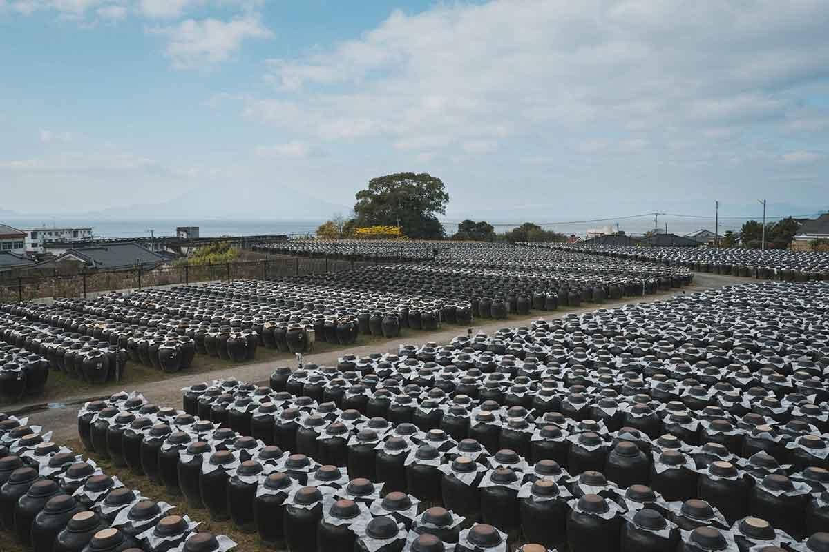 送料込み】坂元のくろず・天寿りんご黒酢セット 700ml - 日当山無垢食堂オンラインショップ 送料込み】坂元のくろず・天寿りんご黒酢セット 700ml - 日当山無垢食堂オンラインショップ