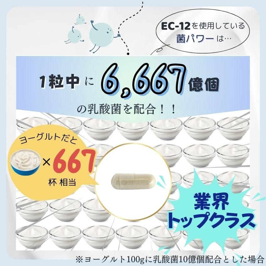 乳酸菌 サプリ + 酵素 EC-12 ｜お得な3個セット｜ 菌パワー プロ