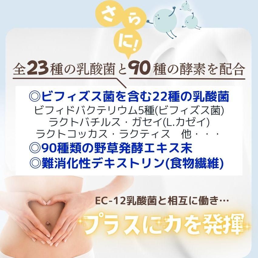 乳酸菌 サプリ + 酵素 EC-12 ｜お得な3個セット｜ 菌パワー プロ