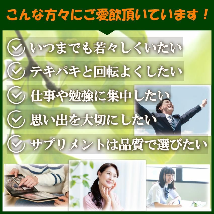 イチョウ葉 エキス DHA EPA サプリ 90粒 リニアフラボン