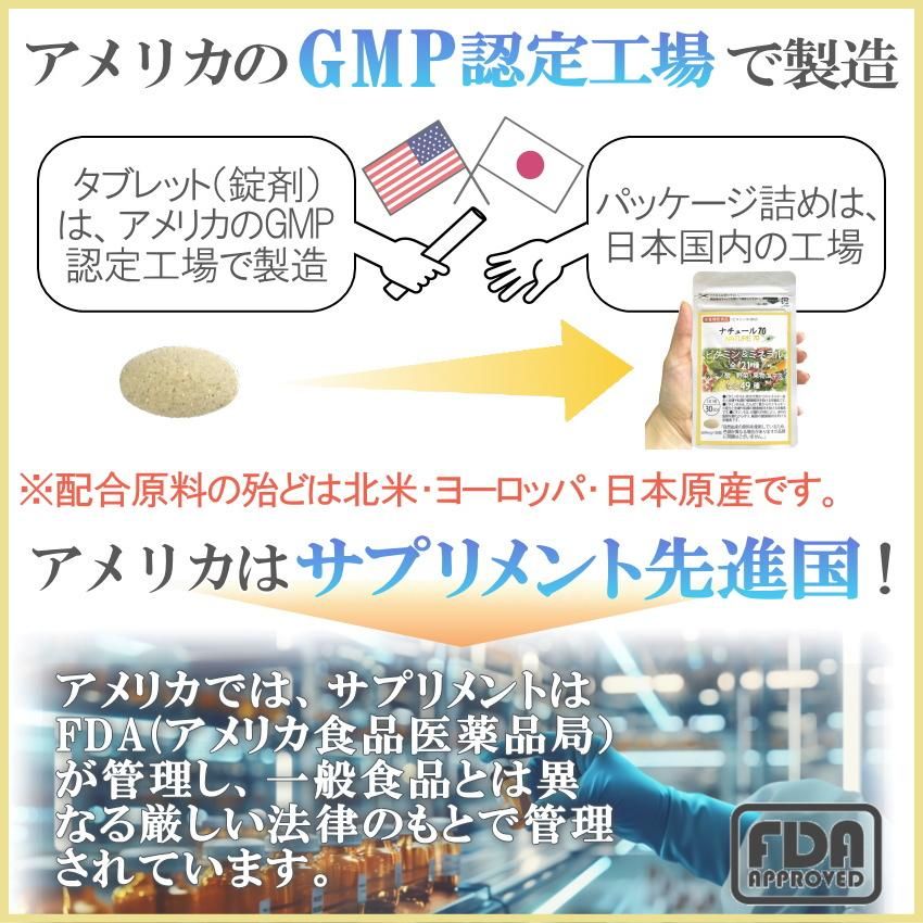 マルチビタミン ミネラル 野菜 果物 酵母 サプリ 30日分 自然