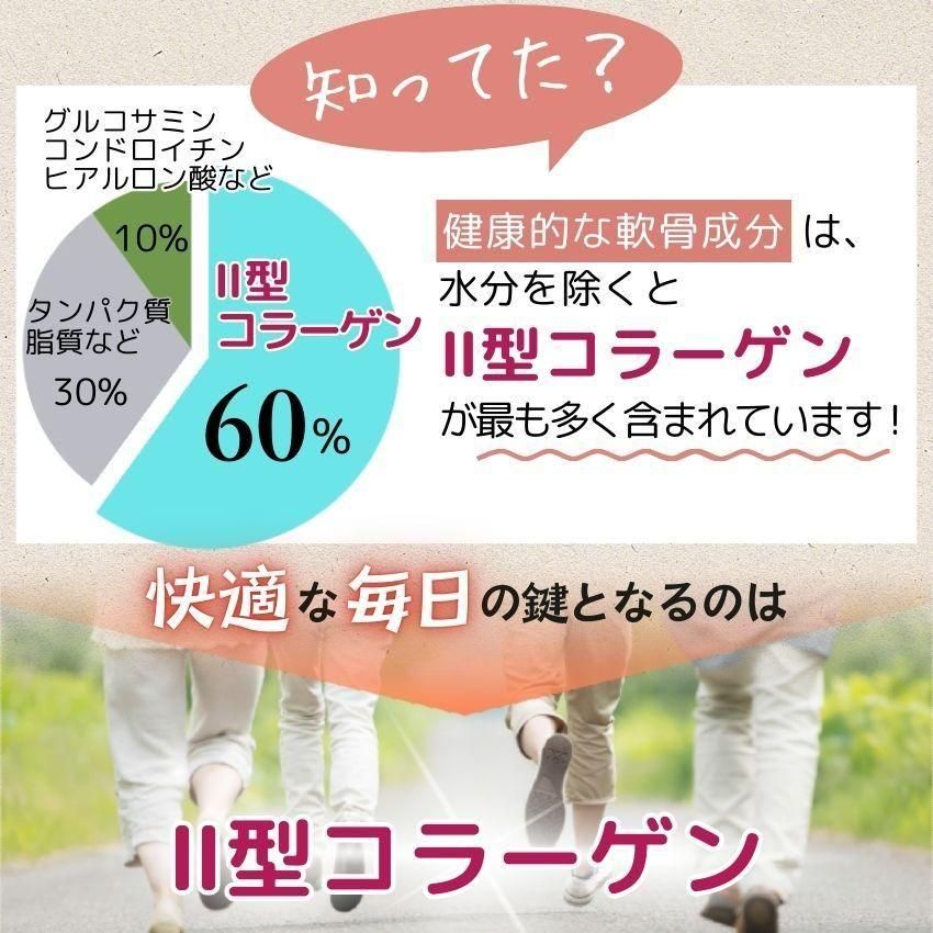 日時指定 楽らく非変性2型コラーゲン 60粒 フェアユング株式会社３箱セット Fucoa Cl