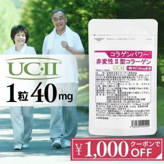 <img class='new_mark_img1' src='https://img.shop-pro.jp/img/new/icons29.gif' style='border:none;display:inline;margin:0px;padding:0px;width:auto;' /> 2 顼 UC-II 30ʬ äʡ 饲ѥ II顼 ץ ѥ