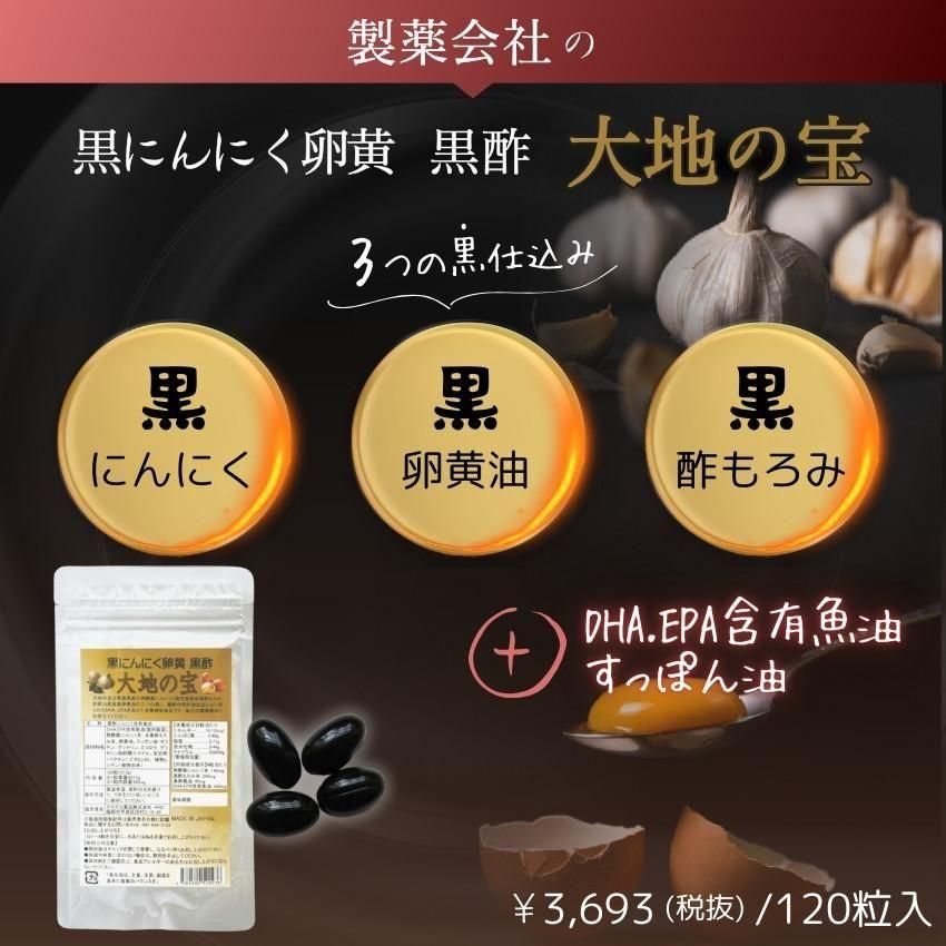 専用出品ひまわり様　DXすっぽん黒にんにく卵黄油×2袋 黒 にんにく卵黄 黒酢 120粒｜お得な6個セット｜ 大地の宝 黒酢