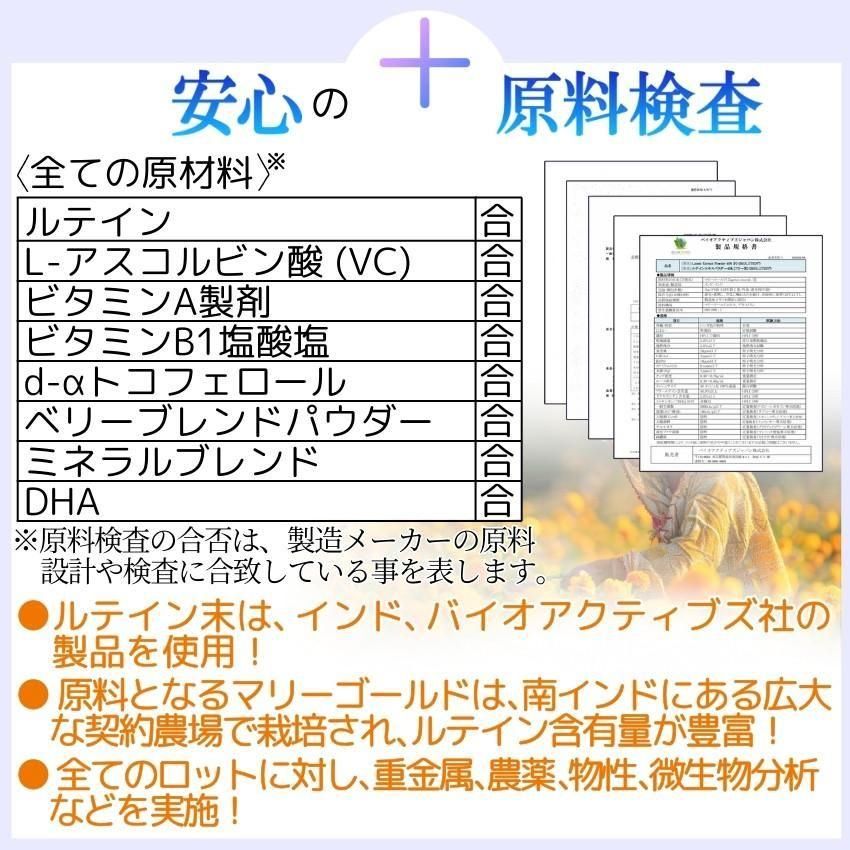 目に良い　サプリメント　ブルーベリー成分配合 ルテイン サプリ 21成分 ゼアキサンチン ブルーベリー DHA 目
