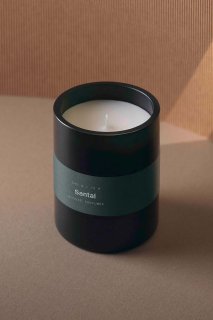 PARFUMS CANDLE - Santal - 240g<img class='new_mark_img2' src='https://img.shop-pro.jp/img/new/icons1.gif' style='border:none;display:inline;margin:0px;padding:0px;width:auto;' />