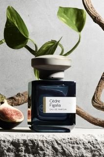 ATELIER MATERI -CÈDRE FIGALIA- 100ml<img class='new_mark_img2' src='https://img.shop-pro.jp/img/new/icons1.gif' style='border:none;display:inline;margin:0px;padding:0px;width:auto;' />