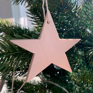 �ե�����ɥС����Υ��ꥹ�ޥ������ʥ���