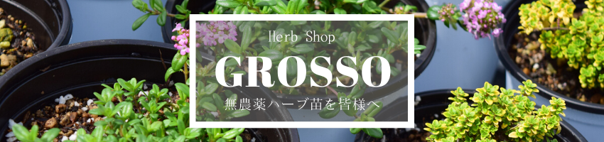 Web Shop”Grosso”ー無農薬ハーブ苗を皆様へー