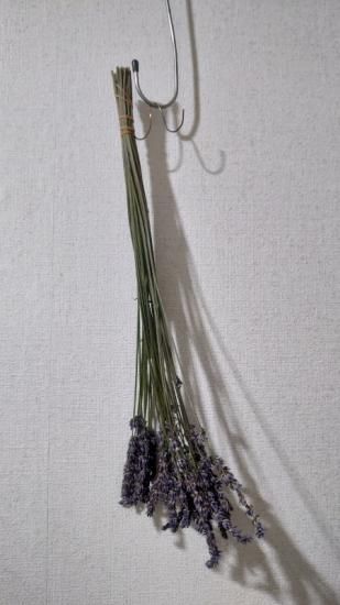 年刈取 ラベンダー グロッソ ドライフラワー Grosso For Kanatakeherb 年刈取 ラベンダー グロッソ ドライフラワー Grosso For Kanatakeherb