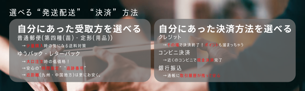 Web Shop Grosso ー無農薬ハーブ苗を皆様へー Web Shop Grosso ー無農薬ハーブ苗を皆様へー