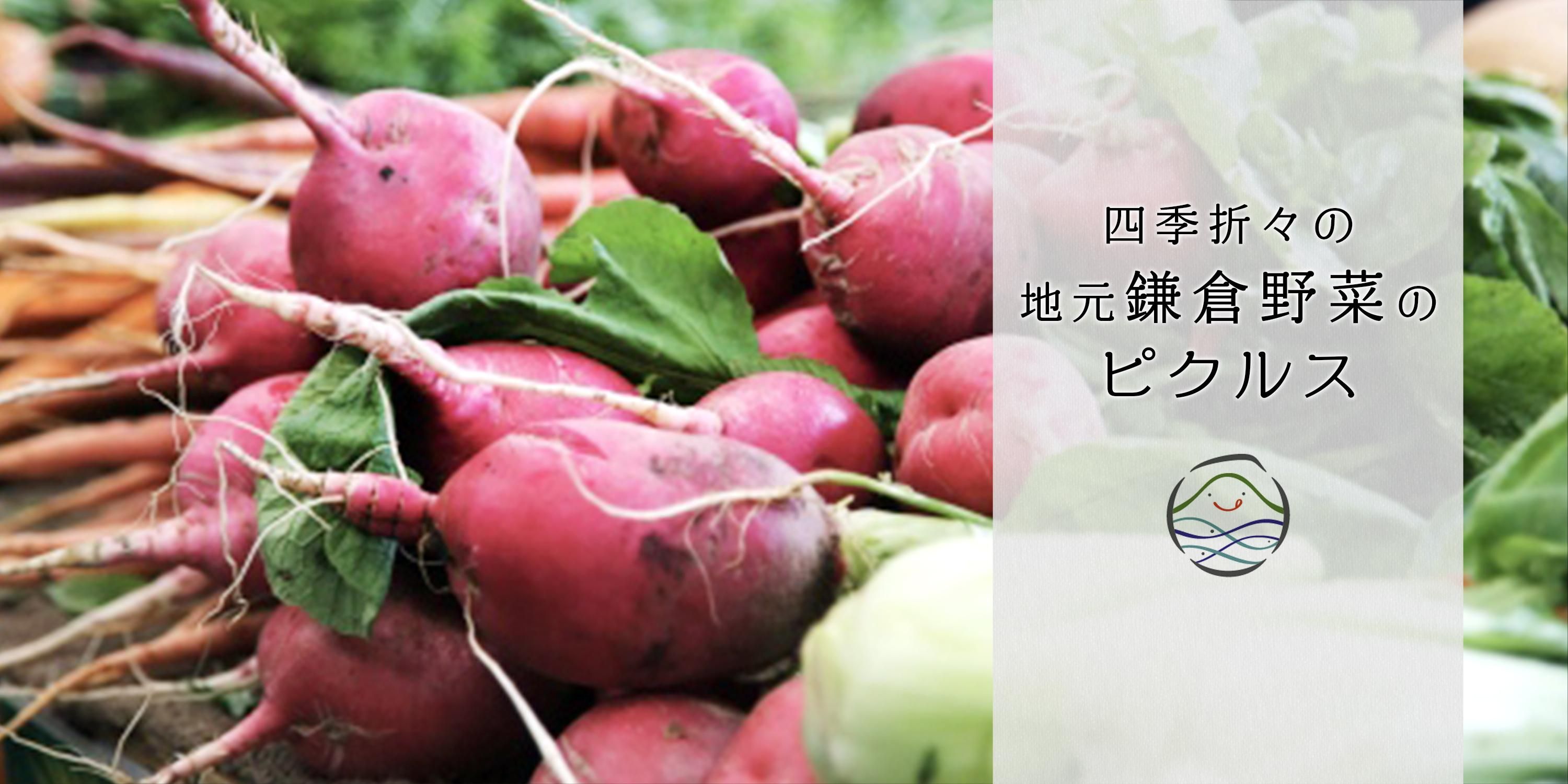 鎌倉野菜工房 鎌倉野菜の手作りピクルス 鎌倉カフェ