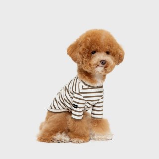 <img class='new_mark_img1' src='https://img.shop-pro.jp/img/new/icons6.gif' style='border:none;display:inline;margin:0px;padding:0px;width:auto;' />STRIPED T-SHIRT / カーキブラウン