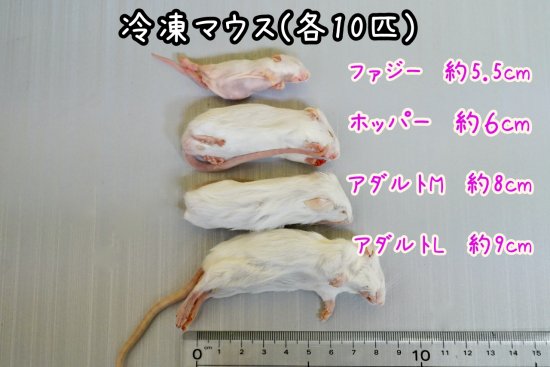 ナチュラ 国産冷凍マウス ファジー 20匹 通販