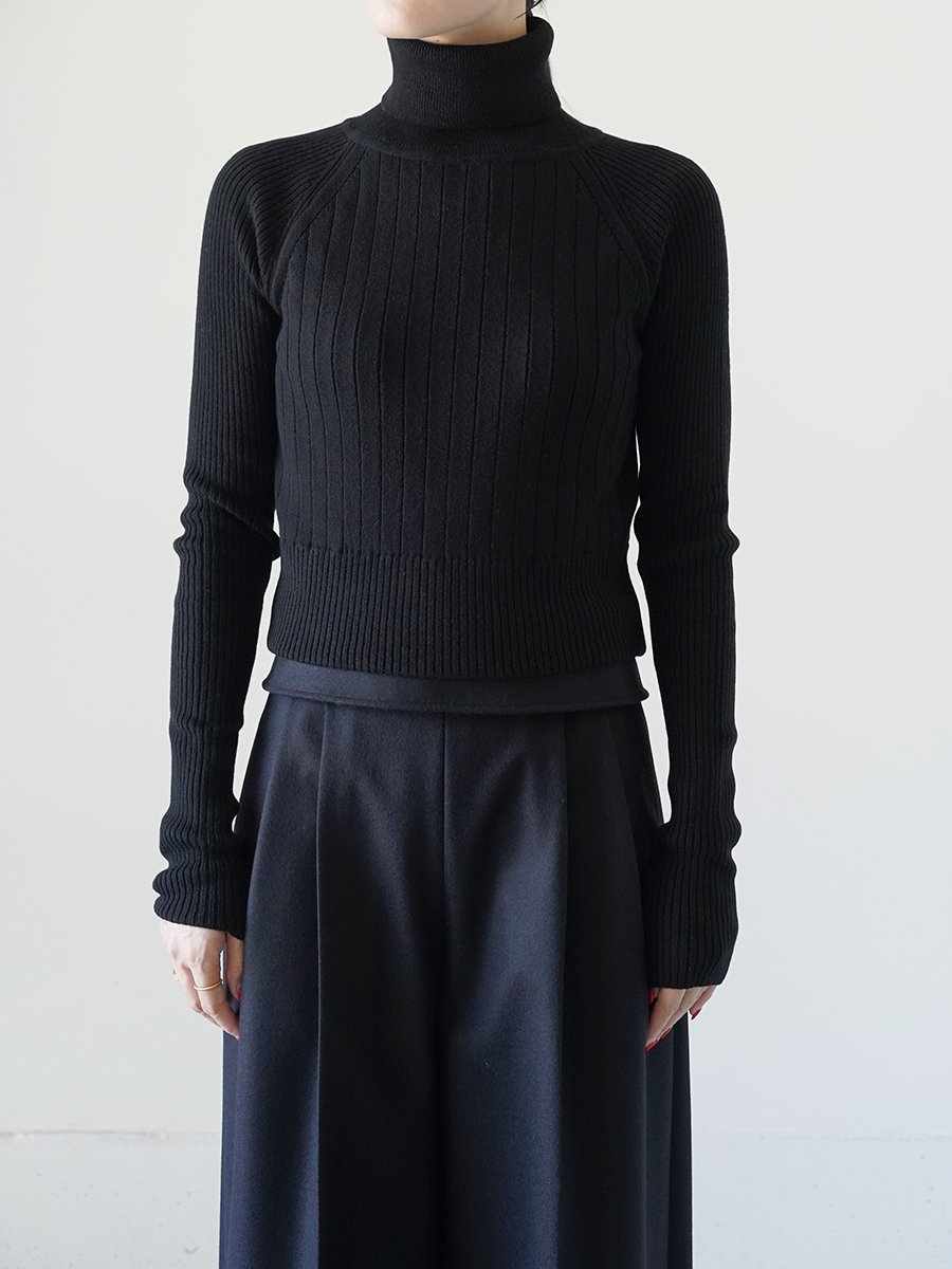 THE RERACS WOOL CASHMERE TURTLE NECK SHORT KNIT - Altamira