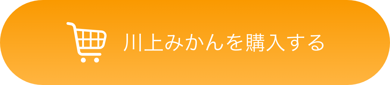 川上みかんを購入する