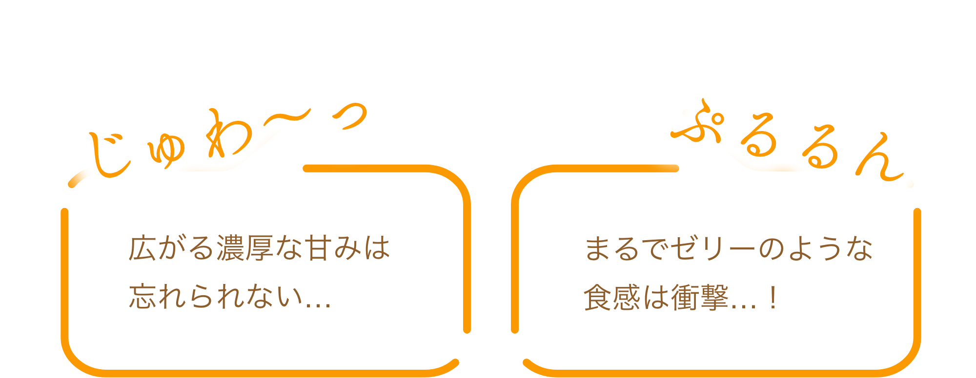 広がる濃厚な甘みは忘れられない…まるでゼリーのような食感は衝撃…！