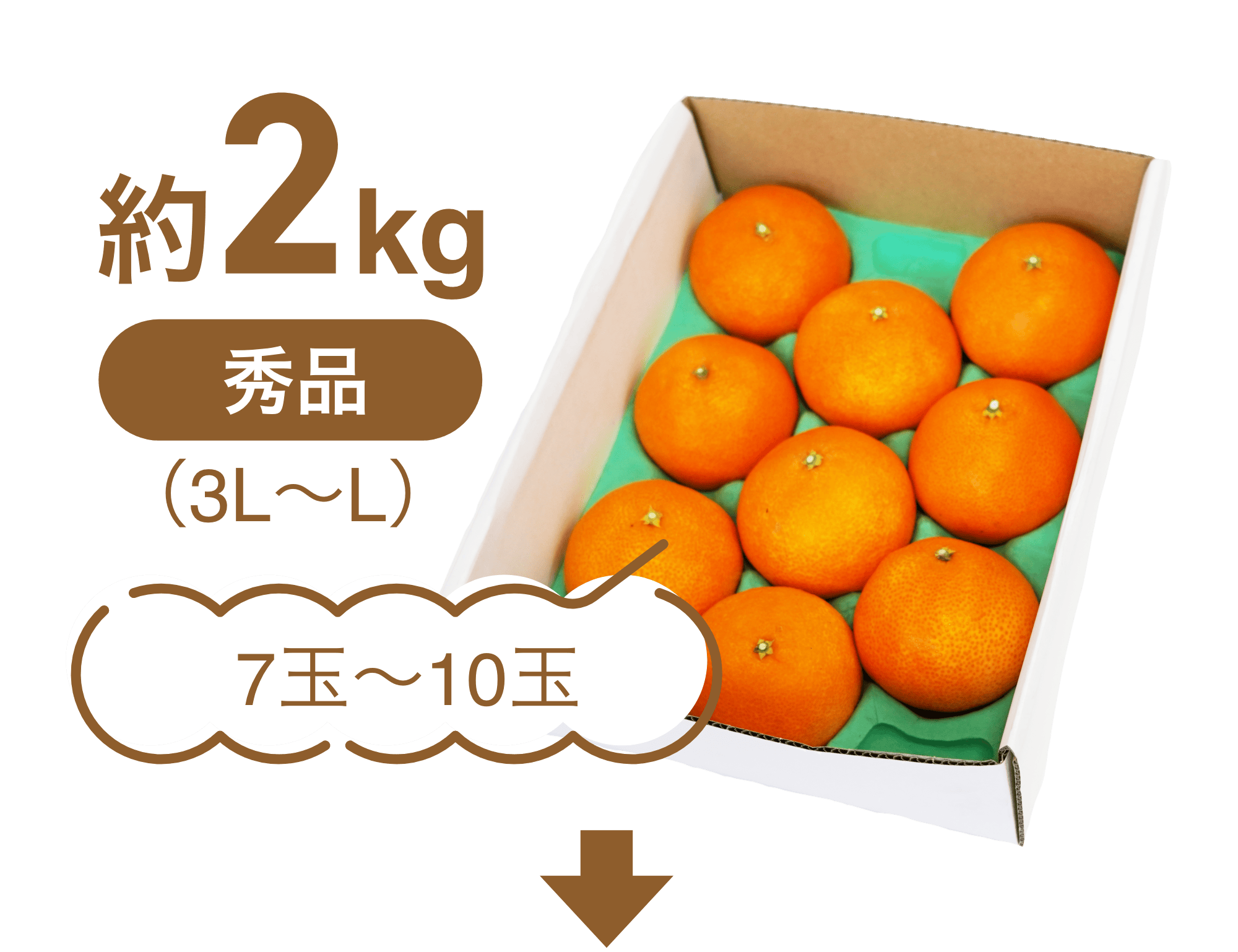 約2kg秀品(3L~L)7玉から10玉