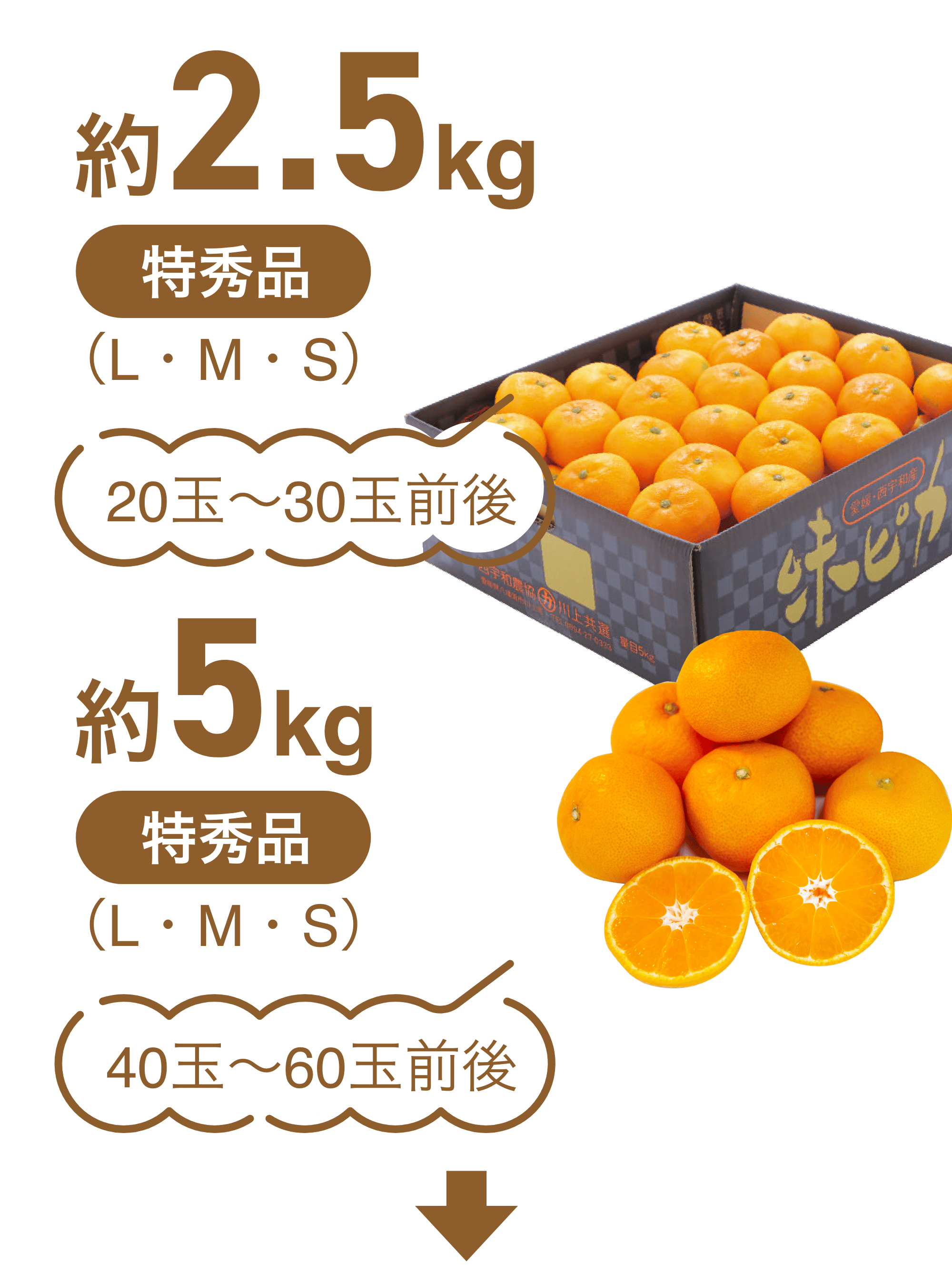 2kg(3L~L)7̤10