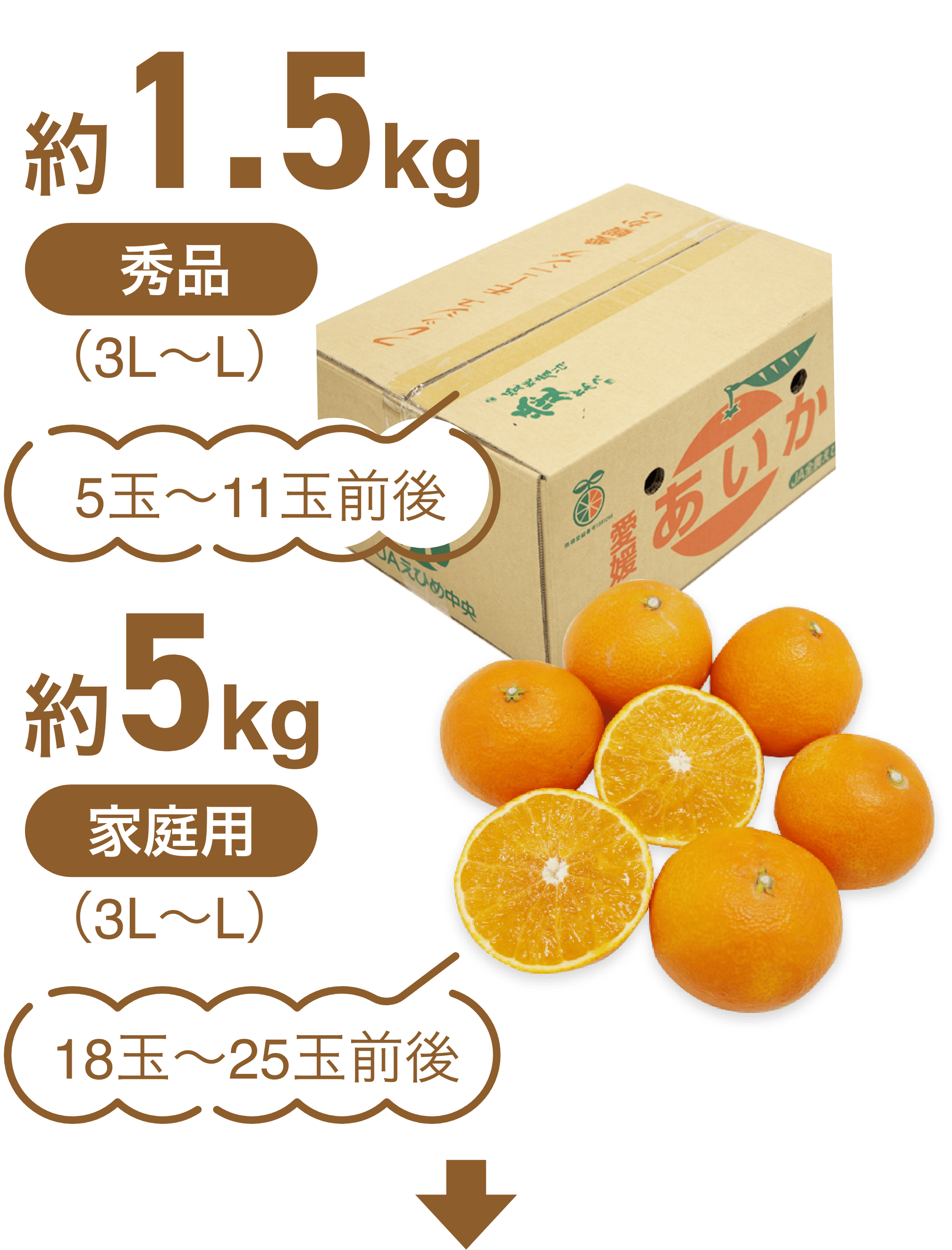 2kg(3L~L)7̤10