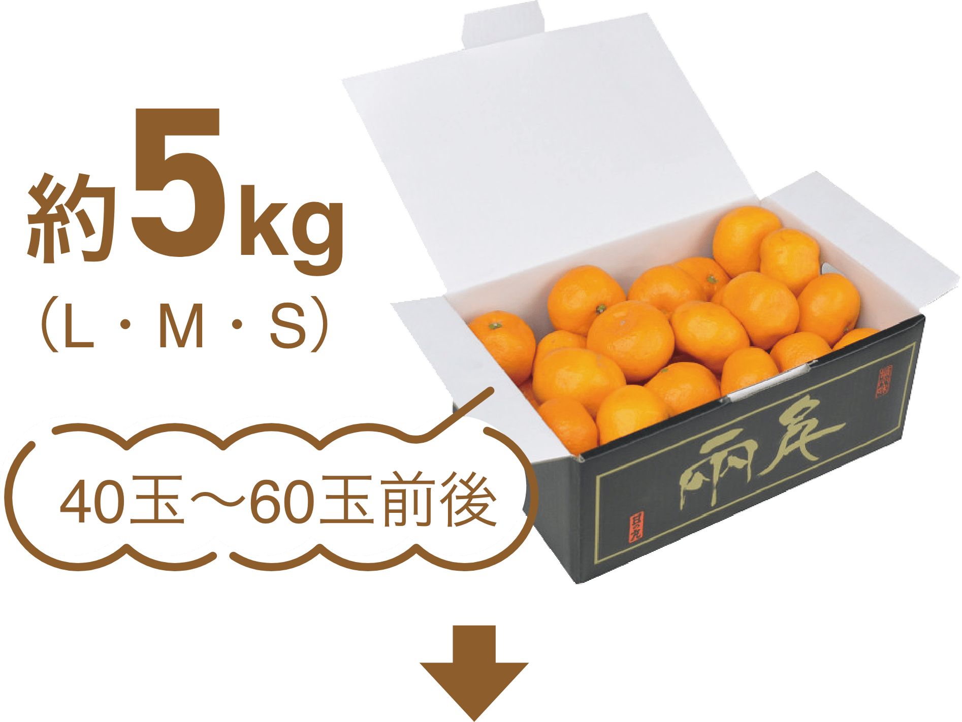 2kg(3L~L)7̤10