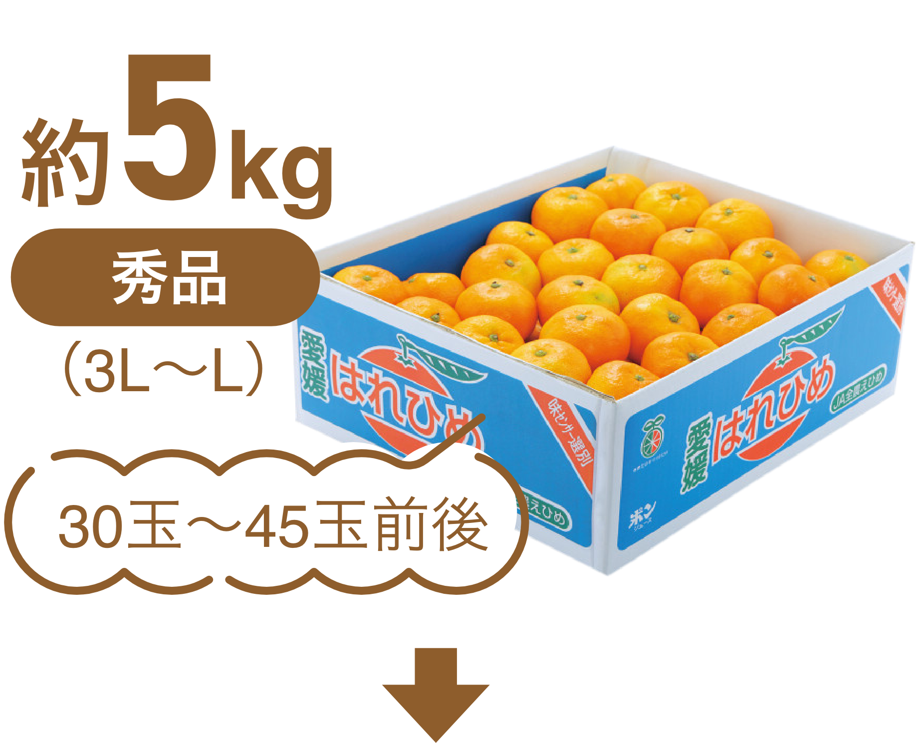 2kg(3L~L)7̤10
