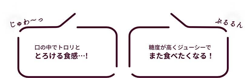 ǻʴŤߤ˺ʤĤޤǥ꡼Τ褦ʿϾ׷ġ