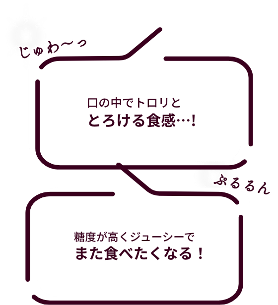 ǻʴŤߤ˺ʤĤޤǥ꡼Τ褦ʿϾ׷ġ