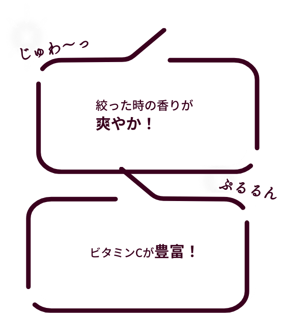 ǻʴŤߤ˺ʤĤޤǥ꡼Τ褦ʿϾ׷ġ