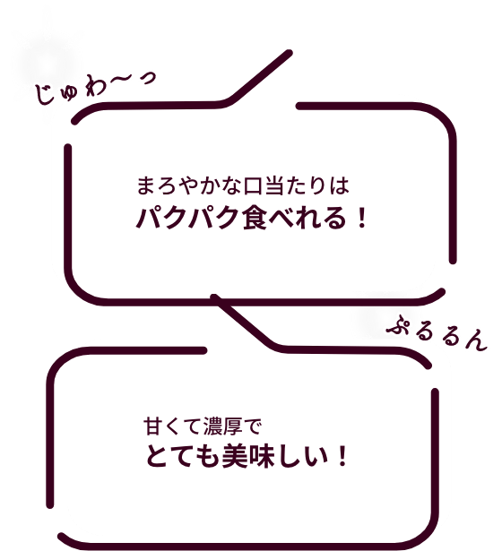 ǻʴŤߤ˺ʤĤޤǥ꡼Τ褦ʿϾ׷ġ