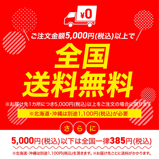 385ߡǹˤʸ5,000(ǹ)ʾ̵̳ƻ1,100(ǹ)ĺޤ