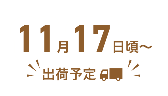 11ܺ〜ȯͽ