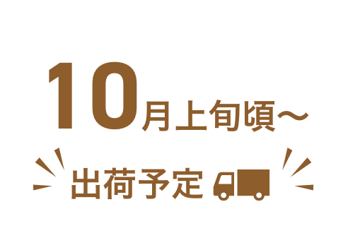 11ܺ〜ȯͽ