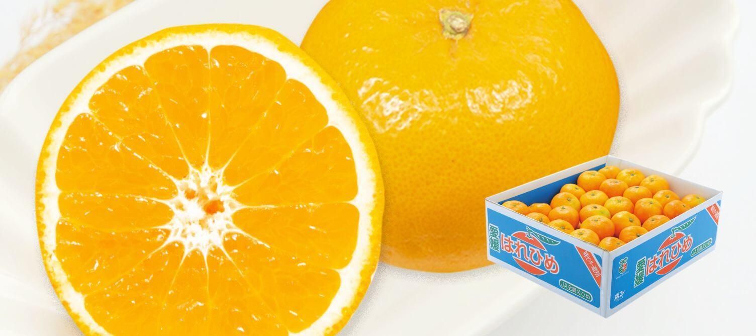 ϤҤߤ M ~ 2L 2.5kg2,484 / M ~ 2L 5kg4,536ߡǹ