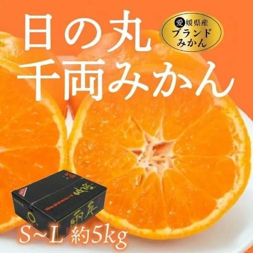 リピーター様みかん様御購入品☆ 予約商品】日の丸共選 千両みかん S~L 約5kg - えひめギフトセンター