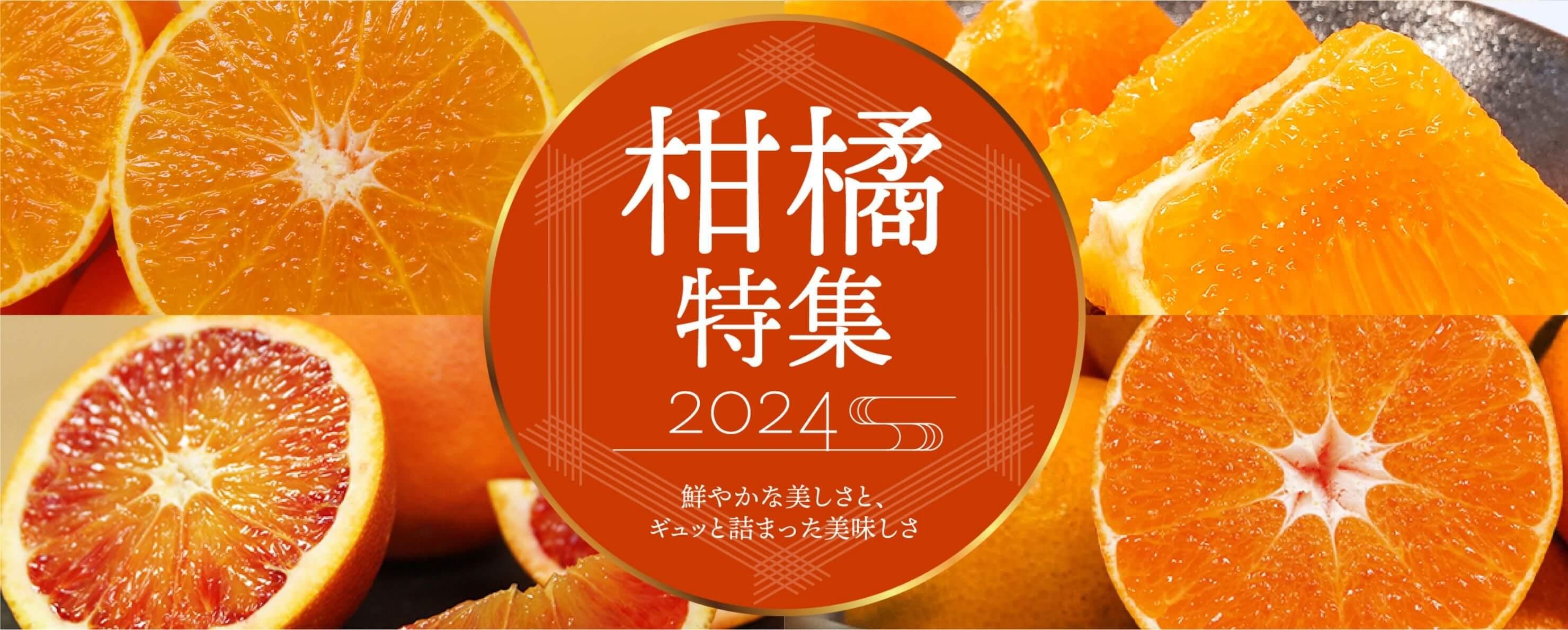 ý 2024 䤫ȥäȵͤޤạ̈