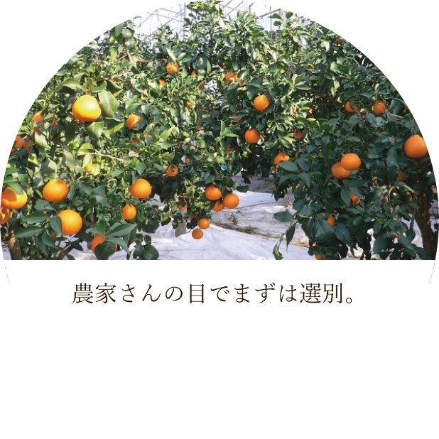 Ȥܤ