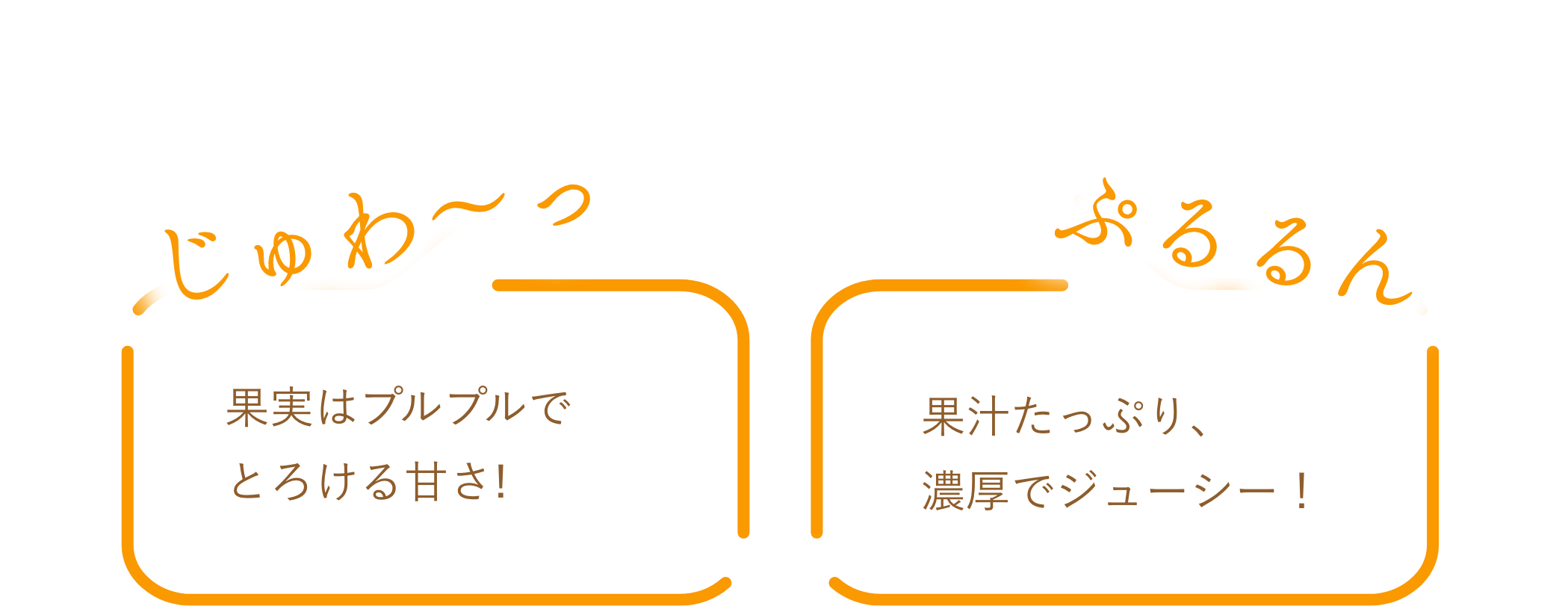 ǻʴŤߤ˺ʤĤޤǥ꡼Τ褦ʿϾ׷ġ