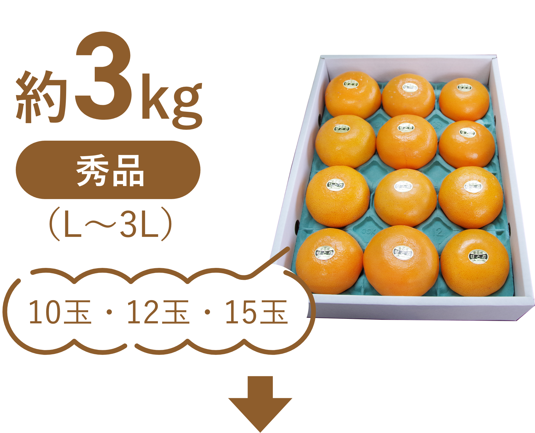 約2kg秀品(3L~L)7玉から10玉