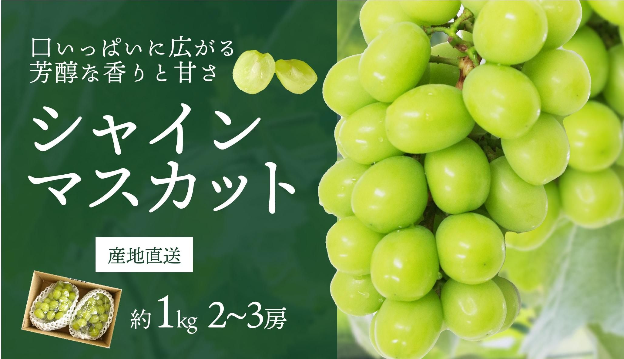 㥤ޥå