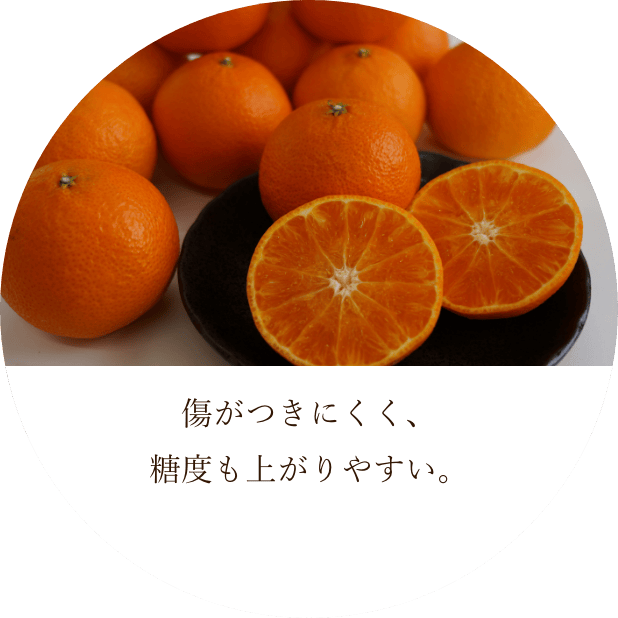Ĥˤ٤夬䤹