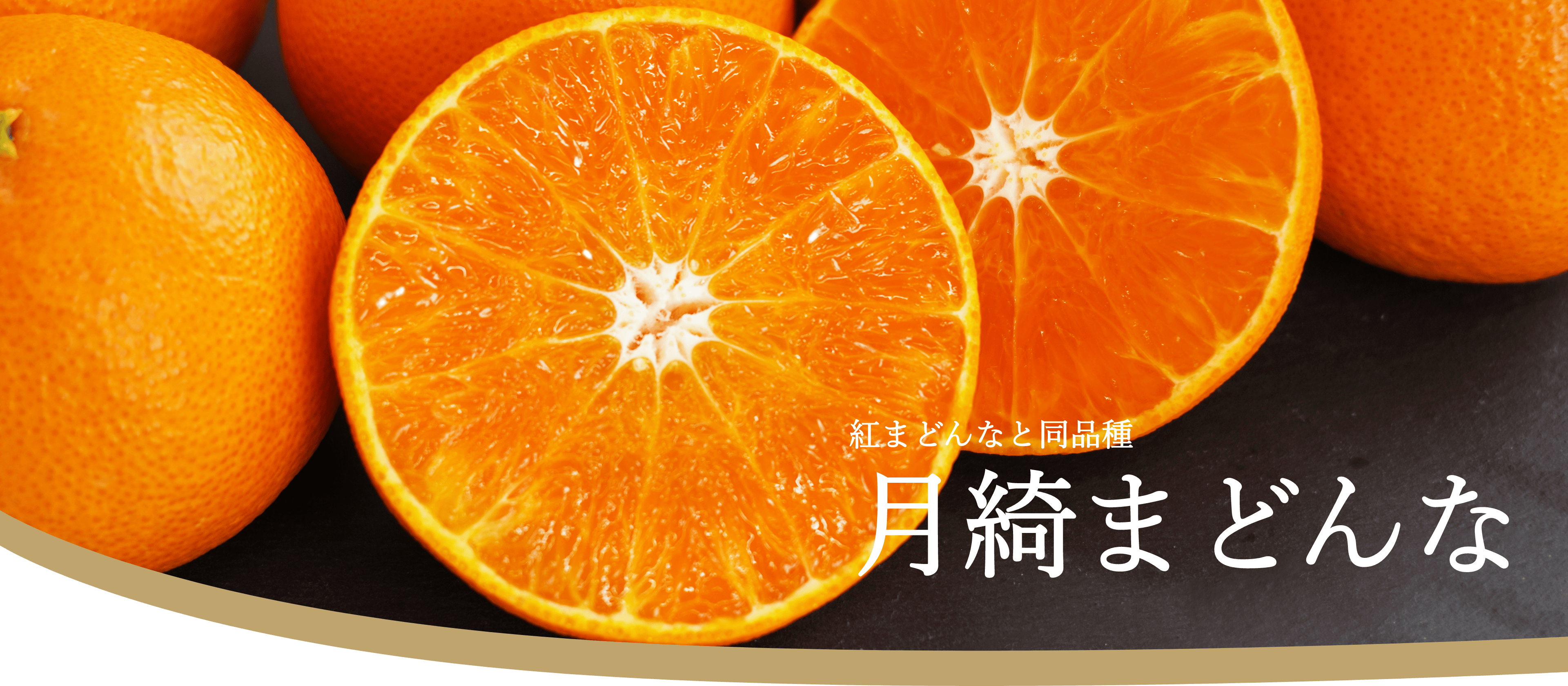 庤ޤɤ