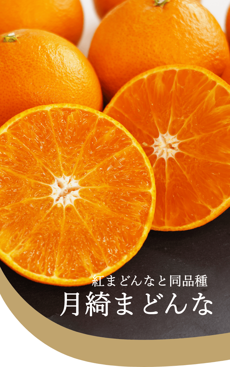 庤ޤɤ