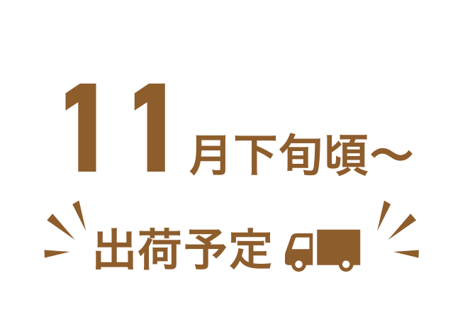 11ܺ〜ȯͽ