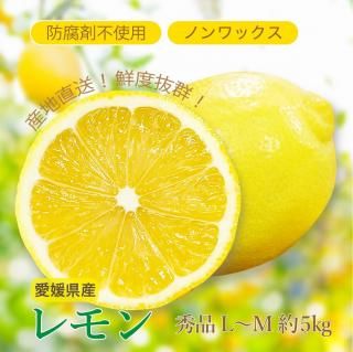 ͽʡ۰ɲ  L〜M 5kg ӡ