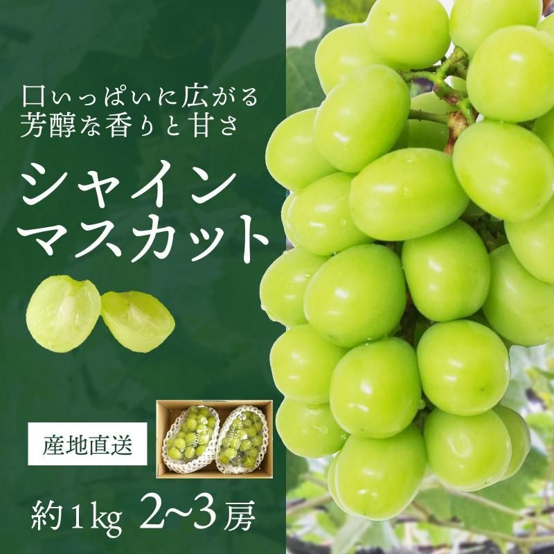 㥤ޥå 1kg  (2˼~3˼)ӡ